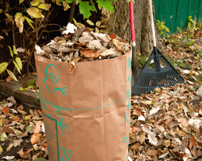 YARD DEBRIS REMOVAL